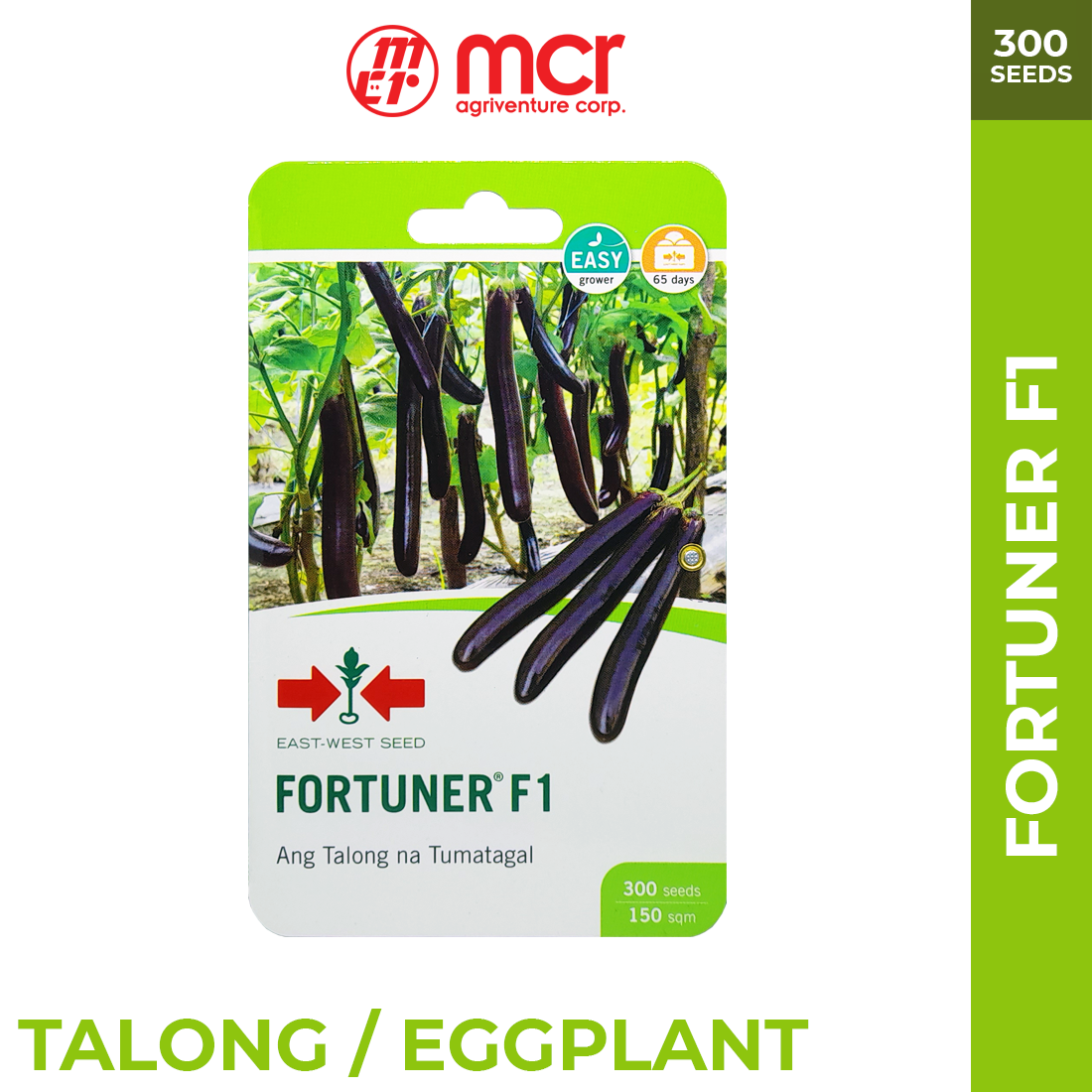 Fortuner F1 - Talong/Eggplant